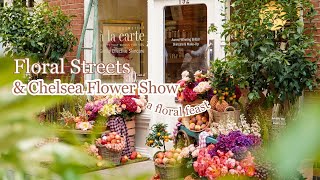 RHS Chelsea Flower Show 2024 Press Day Access amp FREE London Blooms [upl. by Walcott893]