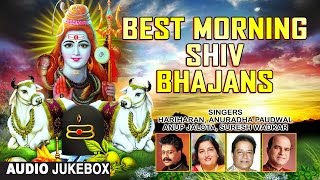 Best Morning Shiv Bhajans By HARIHARAN ANURADHA PAUDWAL SURESH WADKAR ANUP JALOTA I Audio JukeBox [upl. by Eeryn]