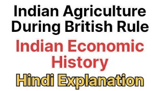 Indian Agriculture During British Rule  Indian Economic History  Hindi Explanation [upl. by Acir19]