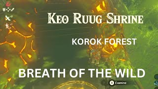 KEO RUUG SHRINE KOROK FOREST THE LEGEND OF ZELDA BREATH OF THE WILD [upl. by Akinert]