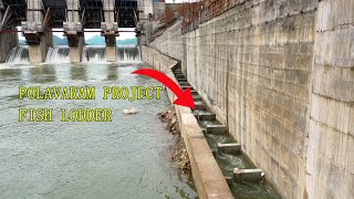 Fish Ladder in Polavaram Project [upl. by Haleemak]