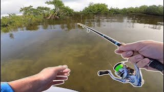 Flats Fishing DEEP Into Everglades JUNGLE Florida Send DAY 5 [upl. by Sebastian]