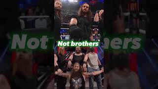 Shield vs Wyatt family [upl. by Gibby]