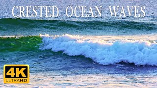 Crested ocean waves at Woolamai Surf Beach Australia 8 hours in 4K UHD [upl. by Giliane]