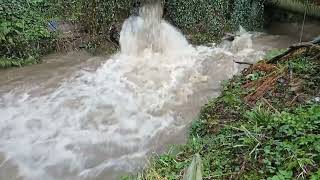 Draperstown Storm Drain Full Flood [upl. by Ecile]