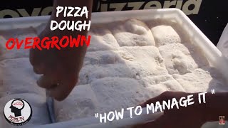 HOW TO USE NEAPOLITAN PIZZA DOUGH OVER GROW [upl. by Sosthena630]