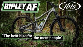 Ibis Ripley AF Review An AggroXC MTB for Everyone DownCountry [upl. by Tiffa]