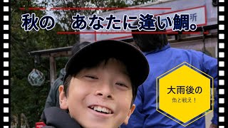 【晴太の海上釣堀散歩】秋の釣堀を満喫！＠あなたに逢い鯛。2024年11月4日釣行 [upl. by Noryt953]