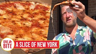 Barstool Pizza Review  A Slice of New York Murrysville PA [upl. by Micro]