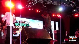 Beres Hammond Live  Rebel Salute 2013  Jamaica [upl. by Potter]