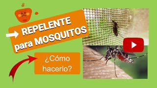 Cómo hacer un REPELENTE para MOSQUITOS 【Casero】 [upl. by Bedelia496]