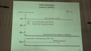 Карпова О В  Вирусология  Семейство Retroviridae [upl. by Jb]