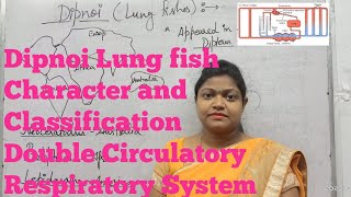 Dipnoi Lung fish ExternalInternal features Classification and Circulatory Respiratory system [upl. by Midan]