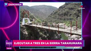 Ejecutan a tres hombres en la Sierra Tarahumara  Noticias con Yuriria Sierra [upl. by Akiehsat215]