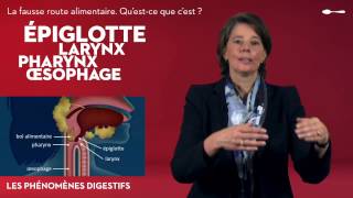 Le système digestif  La fausse route alimentaire [upl. by Imyaj]