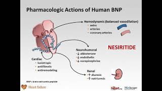 MBBS Classroom Presentation by  Dr Nithya  Pharmacology  srilalithambigaimedicalcol5055 [upl. by Ittap]