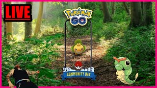 🔴LIVE ✨ Shiny ✨ STRAWICKL Community Day   Pokémon GO Deutsch  3131 [upl. by Hodess]