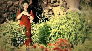 Narina kurdi Koktel New Clip 2012 [upl. by Molini]