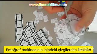 5 Sınıf Nesli Tükenen ve Tükenme Tehlikesi Altında Olan Canlılar İnteraktif materyal fenusbilim [upl. by Nadab]