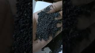 Black Sesame Seeds  Available on IndiaMART [upl. by Hurty]