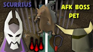 How to Completely AFK The Easiest Boss Pet in Runescape Scurrius [upl. by Lyall266]