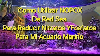 Como Utilizar NOPOX De Red Sea Para Reducir Nitratos Y Fosfatos Para Mi Acuario Marino aquarium [upl. by Hubsher]