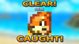 Pokemon Picross  Buizel  A0704  20241110 [upl. by Crandale105]