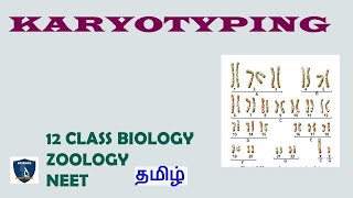 Karyotyping in Tamil  Principles of Inheritance and Variation  Zoology  Class 12  TNSCERT  NEET [upl. by Lucretia]