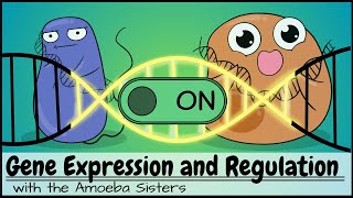 Gene Expression and Regulation [upl. by Attej199]