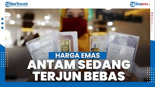 Terjun Bebas Lagi Harga Emas Antam Dekati Level Rp 900 Ribu Per Gram [upl. by Hendel539]