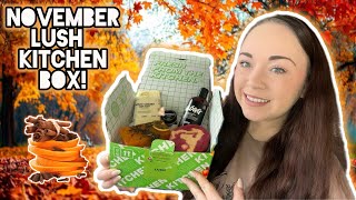 LUSH NOVEMBER KITCHEN UNBOXING  Warm Cosy Cinnamon Products 🔥✨ [upl. by Jeni]