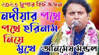 নদীয়ার পথে পথে হরিনাম নিয়ে মুখে nodiar pothe pothe horinam niya mukhe  animesh mondal bhajan [upl. by Freedman784]