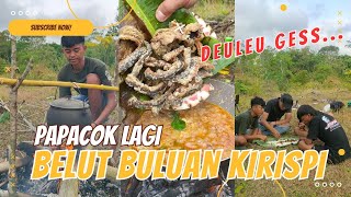 BIKIN BALADO BELUT BULUAN KIRISPI 😂❗NIKMATNYA MAKAN NASI LIWET DAN MASAK BELUT DI KEBUN [upl. by Dell893]