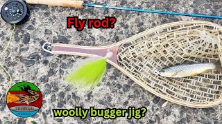 Fly Fishing Deeper Water D2 Jig Gunpowder Falls MD [upl. by Albemarle569]