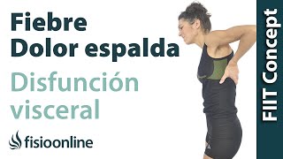 Disfunción visceral dolor de espalda y la fiebre [upl. by Annovaj246]