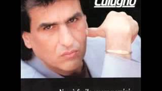 E Se Questo Non è Amore Toto Cutugno [upl. by Wilen719]