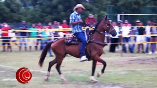 1er Concurso de Caballos Criollos de Vaquería  Ronda 1  Parte 2  Villa Rosa Atl 2018 [upl. by Strep]