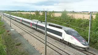 Trainvideo32TGV4516Horn [upl. by Hubsher]