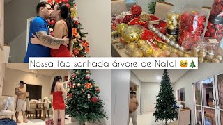 MONTAMOS NOSSA ÁRVORE DE NATAL DOS SONHOS  PRIMEIRO NATAL NA CASA NOVA 🥹🎄 [upl. by Nylcaj813]