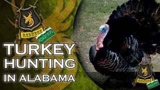 Eastern Turkey Hunting in Alabama amp introducing the Sauer 202 Wolverine [upl. by Latricia506]