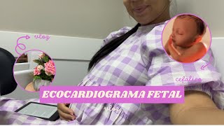 ECOCARDIOGRAMA FETAL  VLOG MÃE AOS 21 [upl. by Allyn]