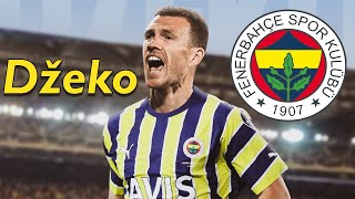 Edin Dzeko ● Welcome to Fenerbahce 🟡🔵 Best Goals amp Skills [upl. by Katlin934]