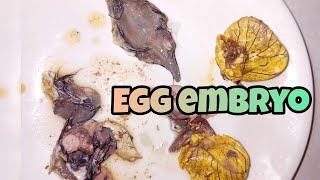 Cracking egg embyo balut egg asmr [upl. by Isacco943]