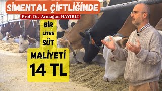 Süt Yem parametresi ne olmalı ProfDr Armağan Hayırlı hayvancılığı ekonomik açıdan değerlendiriyor [upl. by Aerdnwahs300]