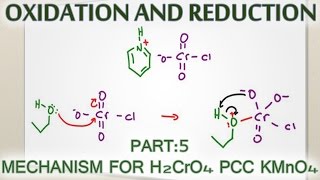 Alcohol Oxidation Mechanism with H2CrO4 PCC and KMnO4 [upl. by Bourne]