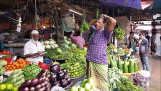 Amazing Fresh Morning Vegetables Market MohaKhali Dhaka Bangladesh [upl. by Bettzel]