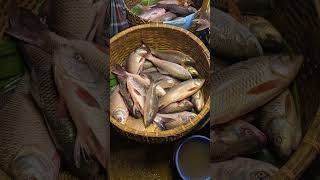 Fresh fish cholonbil authentic viralvideo [upl. by Oni35]