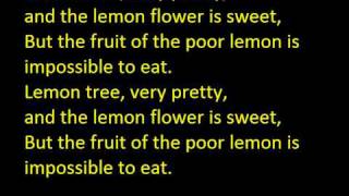 Peter Paul Mary  Lemon Tree with lyrics [upl. by Milburt]