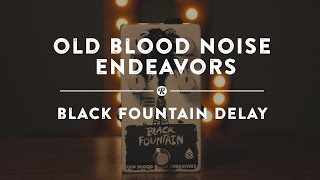 Old Blood Noise Endeavors Black Fountain Delay  Reverb Demo Video [upl. by Ydna783]