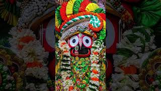 Mo kala chanda re odia song jagannath bhajana [upl. by Dweck]